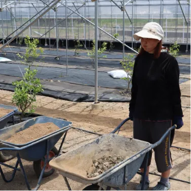 スライダー画像