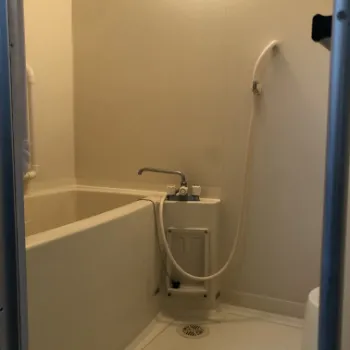 せりサブビジュアル