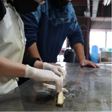 スライダー画像