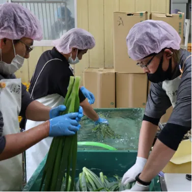 スライダー画像